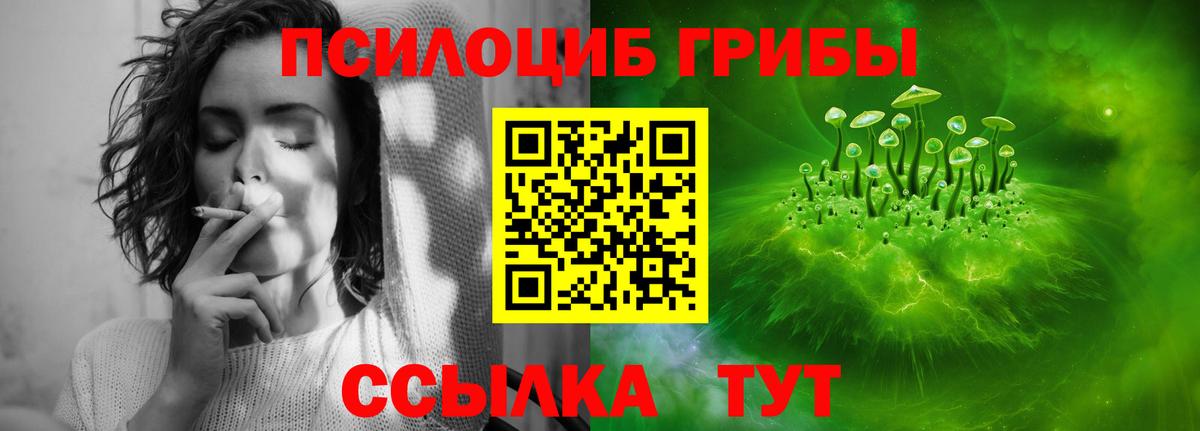 Михайловка  Галлюциногенные грибы Psilocybe  Вход с VPN 